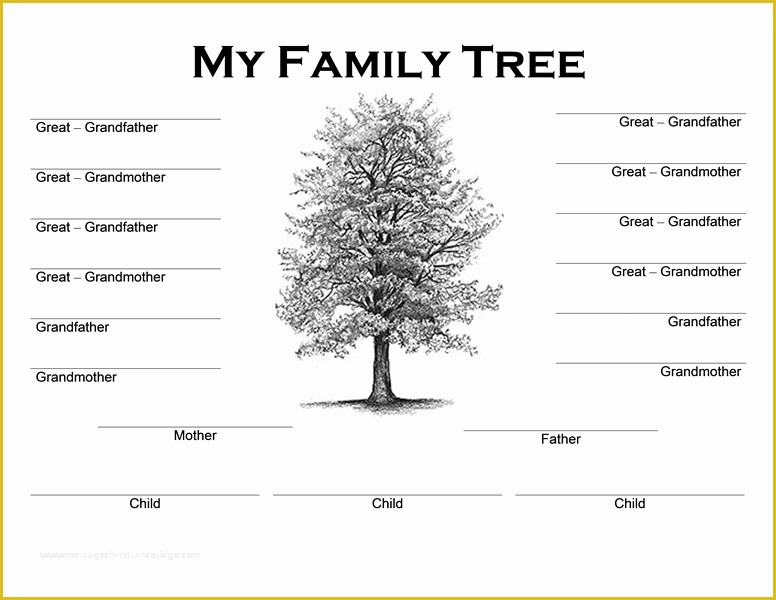 Family Tree Maker Free Template Of Family Tree Templates Word Word Excel Samples