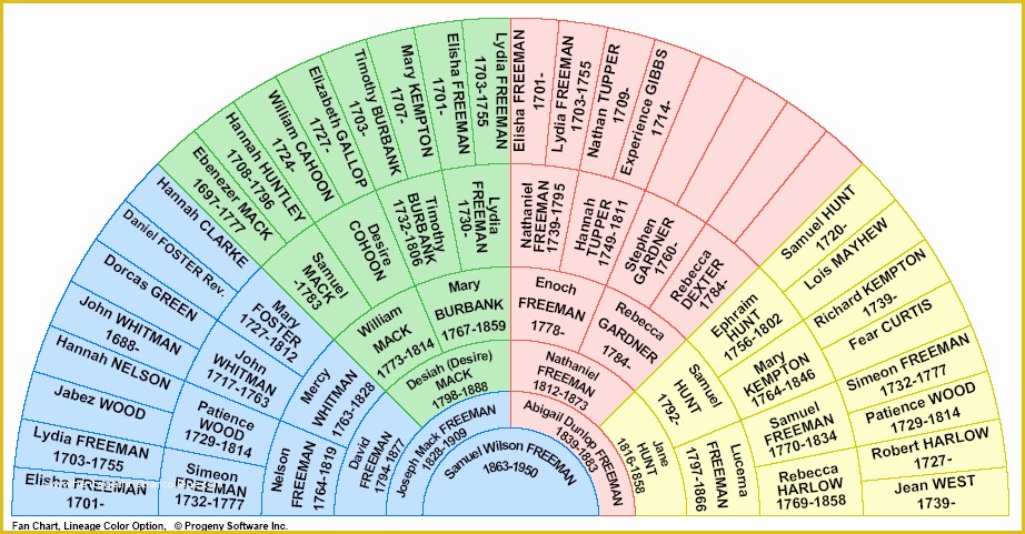 Family Tree Maker Free Template Of Fan Sample Family Tree Charts