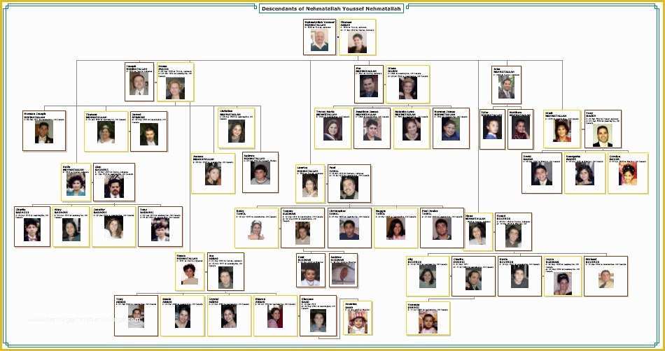 Family Tree Maker Templates Free Download Of Family Tree Maker Templates Beepmunk
