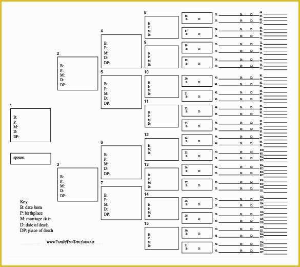 Family Tree Maker Templates Free Download Of Simple Family Tree Template 25 Free Word Excel Pdf