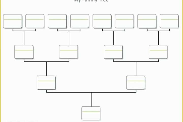 Family Tree Maker Templates Free Download Of Tree Diagram Maker Make Tree Diagram Creator Free Line