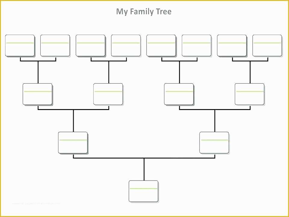 40 Family Tree Maker Templates Free Download
