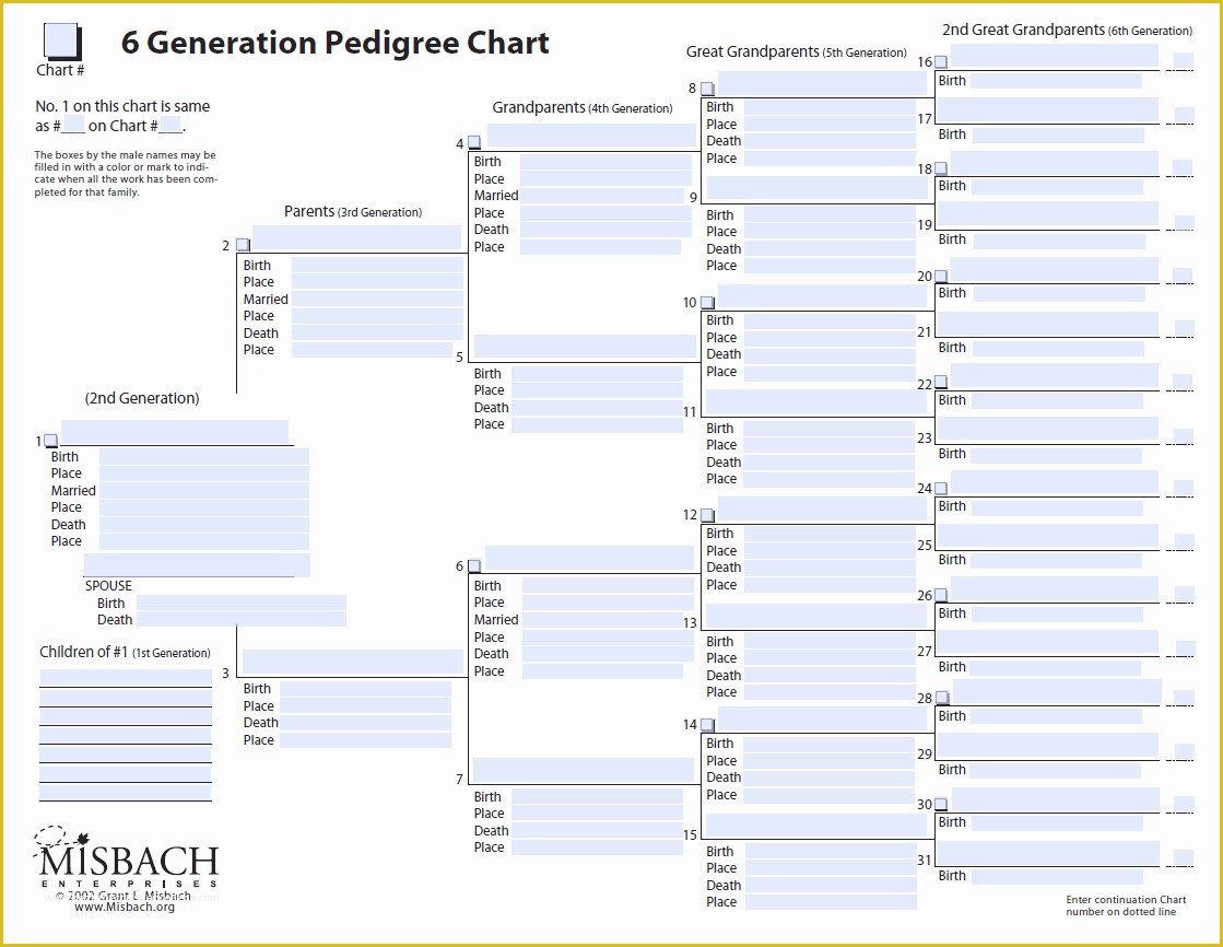 Family Tree Website Templates Free Download Of 6 Best Of Generation Family Tree Template Printable