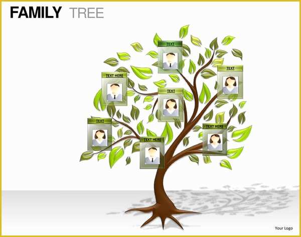 Family Tree Website Templates Free Download Of 7 Powerpoint Family Tree Templates