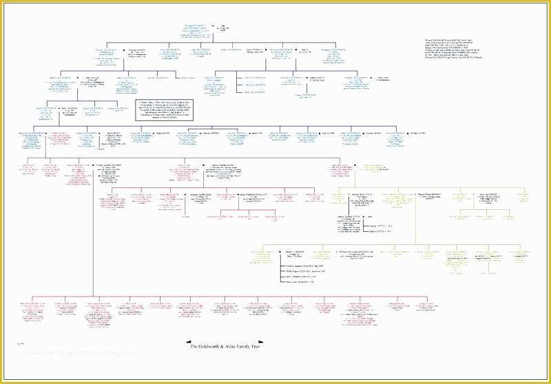Family Tree Website Templates Free Download Of Excel Family Tree Template Download Free Word – Template