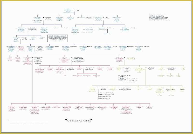 Family Tree Website Templates Free Download Of Excel Family Tree Template Download Free Word – Template