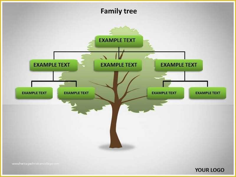 Family Tree Website Templates Free Download Of Family Tree Powerpoint Templates and Backgrounds