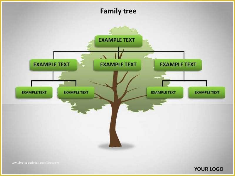 Family Tree Website Templates Free Download Of Family Tree Powerpoint Templates and Backgrounds