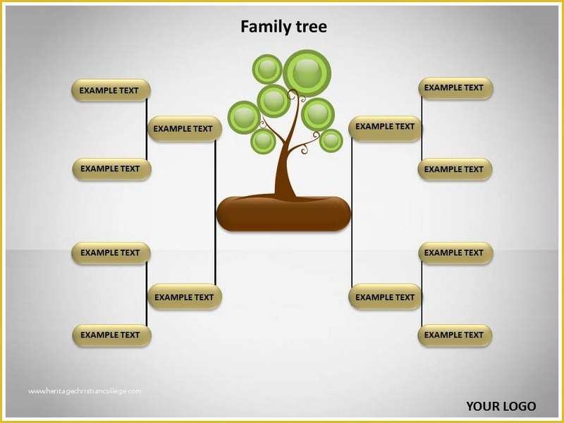Family Tree Website Templates Free Download Of Family Tree Powerpoint Templates and Backgrounds