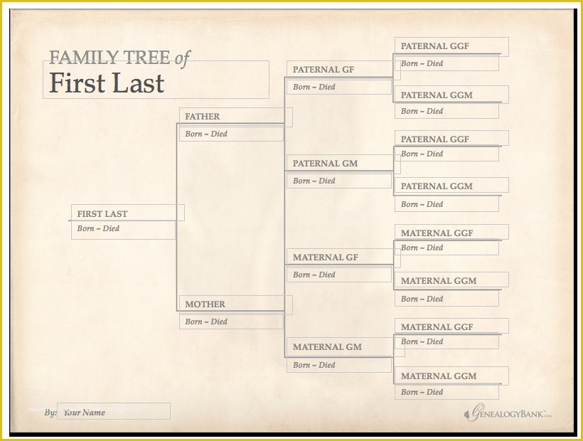 Family Tree Website Templates Free Download Of Family Tree Template Free Download