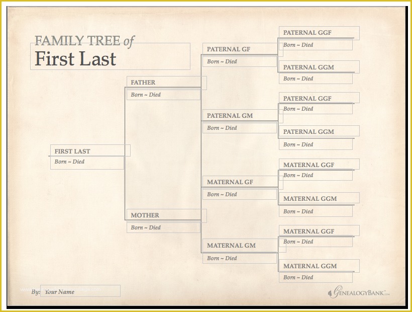 Family Tree Website Templates Free Download Of Family Tree Template Free Download