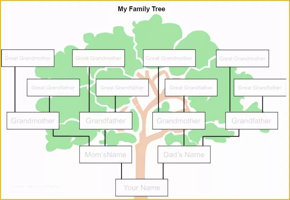 Family Tree Website Templates Free Download Of Family Tree Template with Photos Familytreetemplate