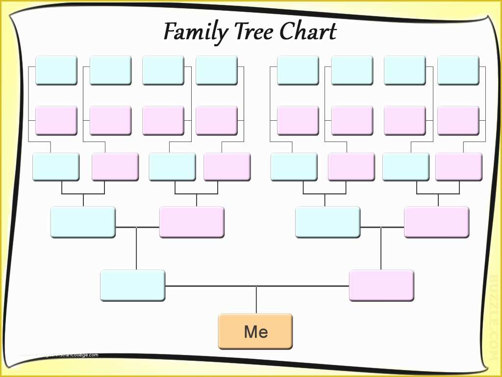 Family Tree Website Templates Free Download Of Immediate Family Tree Template Beautiful Template Design