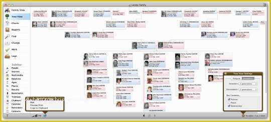 Family Tree Website Templates Free Download Of Reunion 10 for Mac Free and software Reviews
