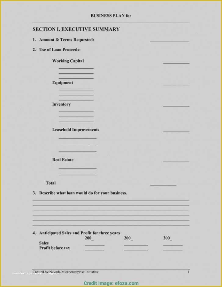 Fill In the Blank Business Plan Template Free Of Business Plan Template Free Fill In the Blank