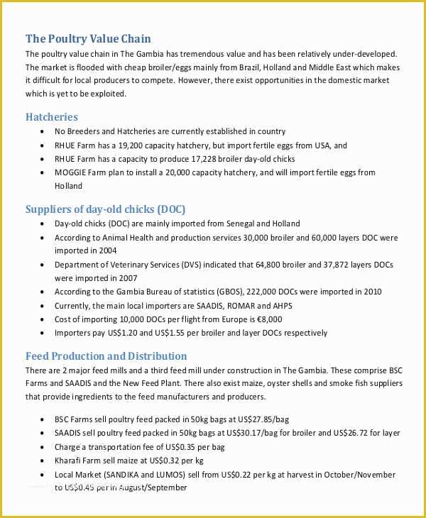 Film Business Plan Template Free Download Of 30 Free Business Plan Examples Pdf Word Pages