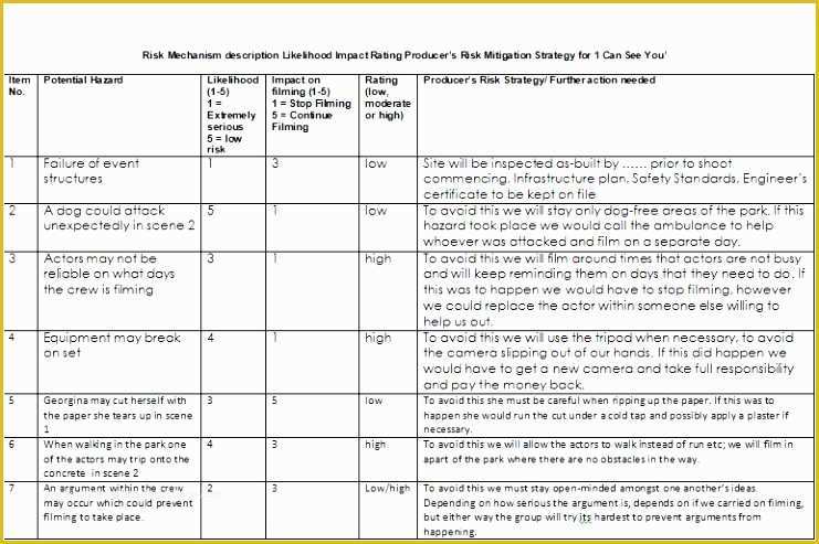 Film Business Plan Template Free Download Of 8 Production Pany Business Plan Template Eiwum