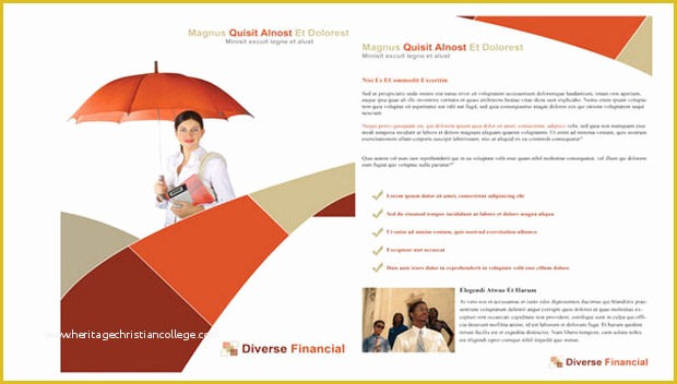 Financial Services Brochure Template Free Of 8 Free and Platinum Financial Service Brochure Templates