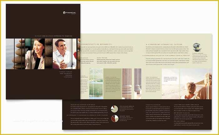 Financial Services Brochure Template Free Of Financial Planner Brochure Template Design