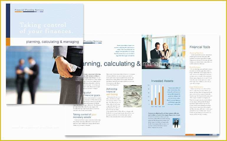 Financial Services Brochure Template Free Of Financial Planning &amp; Consulting Brochure Template Word