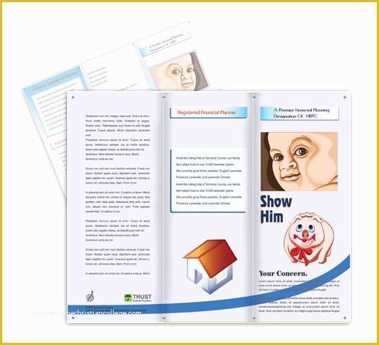 Financial Services Brochure Template Free Of Financial Planning Brochure Templates