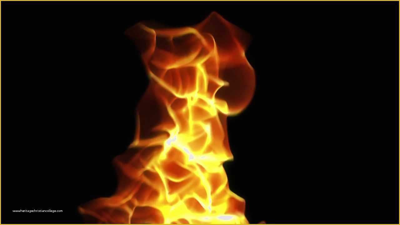 Fire Template after Effects Free Of Free Project after Effects Fire Fuegos Trapcode form