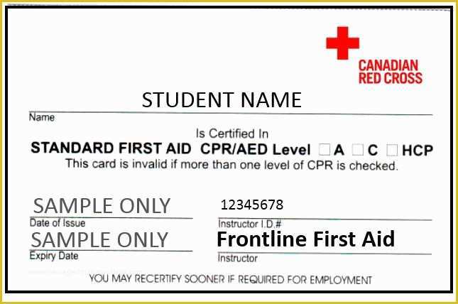 First Aid Certificate Template Free Of Fake American Red Cross Certification Template