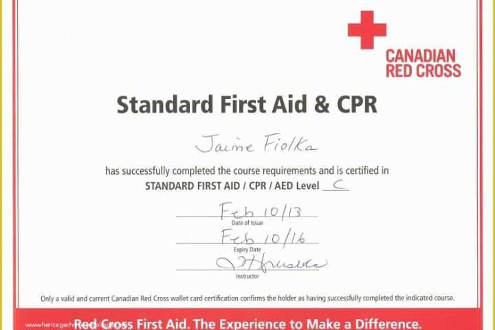 First Aid Certificate Template Free Of Fake American Red Cross Certification Template