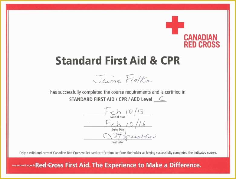 First Aid Certificate Template Free Of Fake American Red Cross Certification Template