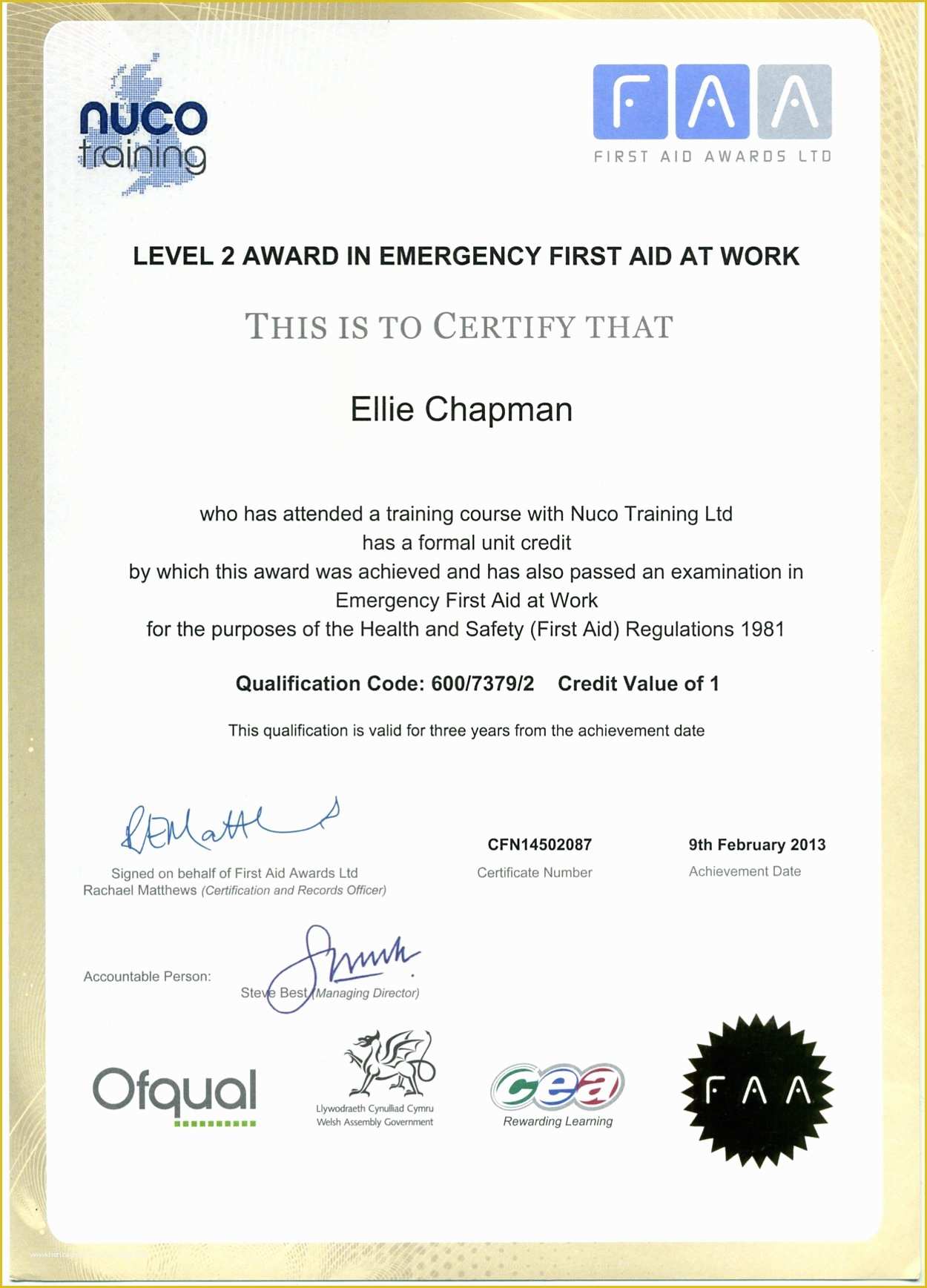 First Aid Certificate Template Free Of Instructor Certificates
