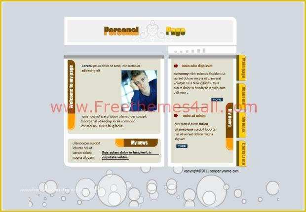 Flash Portfolio Templates Free Download Of Classic Portfolio Flash Template Free Download