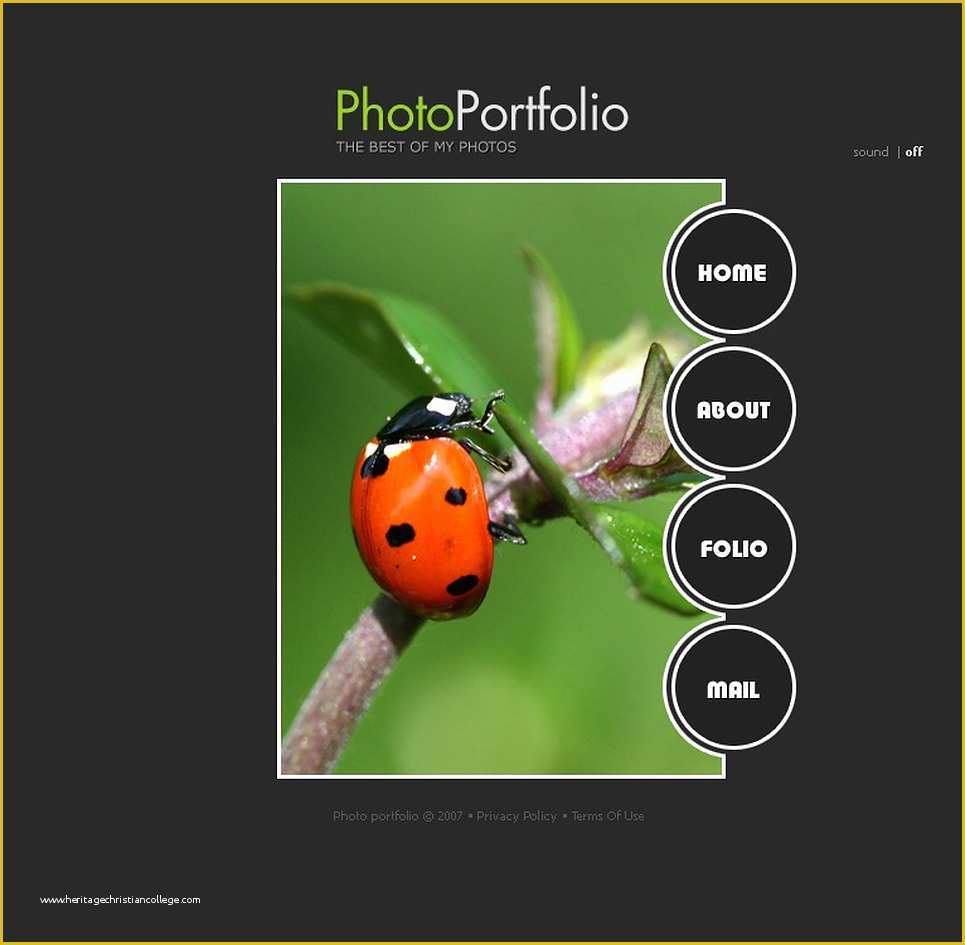 Flash Portfolio Templates Free Download Of Grapher Portfolio Flash Template