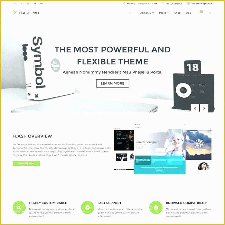 Flash Portfolio Templates Free Download Of It Support Website Template Free