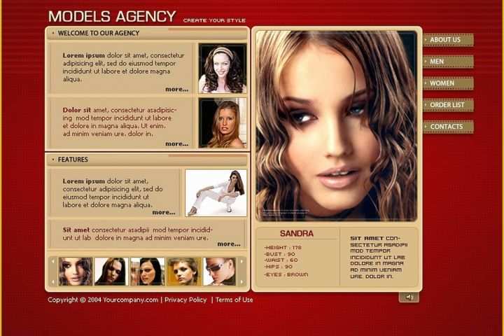 Flash Portfolio Templates Free Download Of Model Portfolio Flash Template Web Design Templates