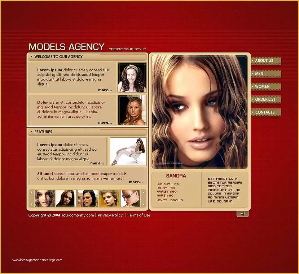 Flash Portfolio Templates Free Download Of Model Portfolio Flash Template Web Design Templates