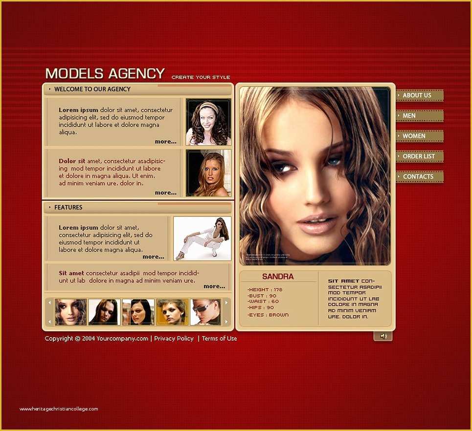 Flash Portfolio Templates Free Download Of Model Portfolio Flash 