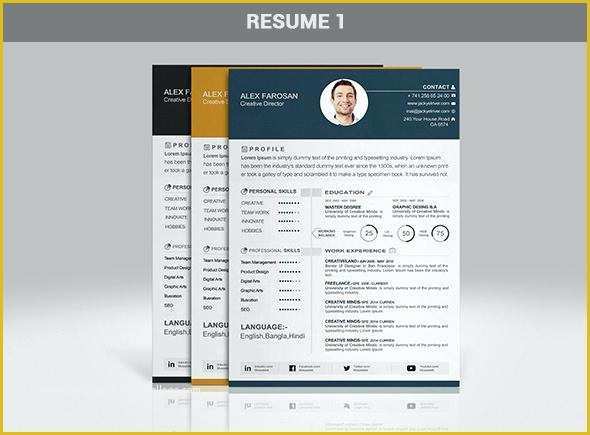 Flash Portfolio Templates Free Download Of Professional Portfolio Template Free Download