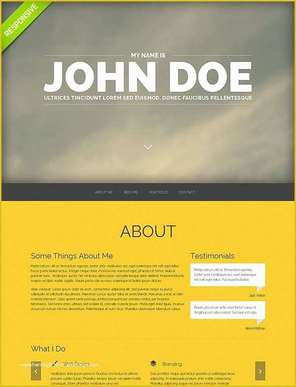 Flash Portfolio Templates Free Download Of Professional Portfolio Template Free Download