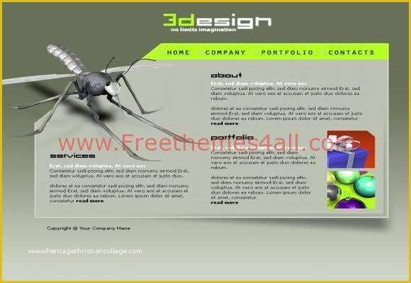 Flash Portfolio Templates Free Download Of Web Designer Portfolio Flash Template