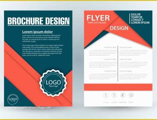 Folder Design Template Free Download Of Brochure Design Template Vector Free Free Vector