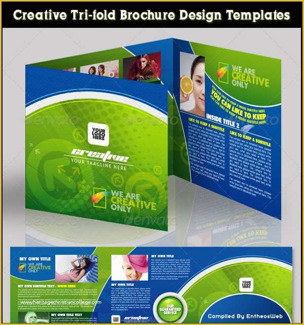 Folder Design Template Free Download Of Free Coreldraw Brochure Template Downloads