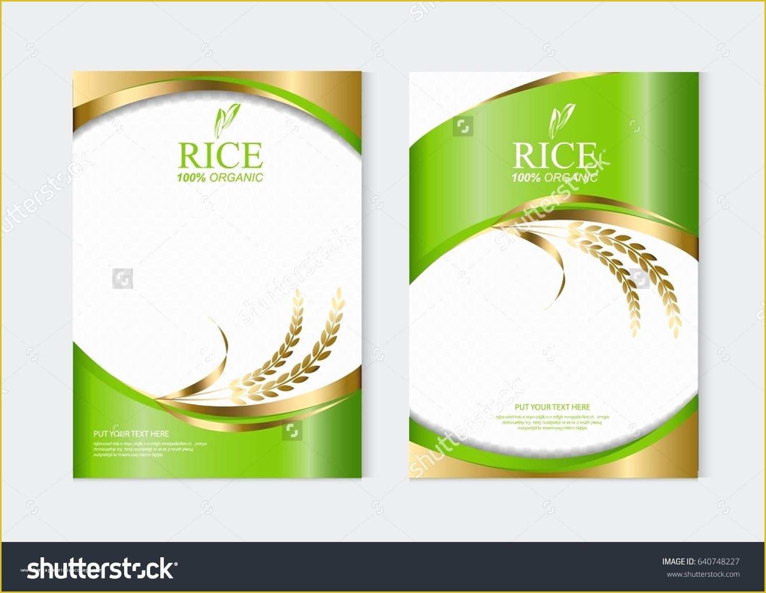 Food Banner Design Template Free Of Rice Food or Thai Food Banner and Poster Template Vector