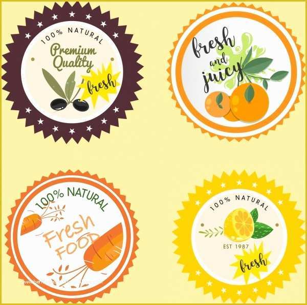 Food Label Design Template Free Of Food Label Template Free Vector 28 158 Free