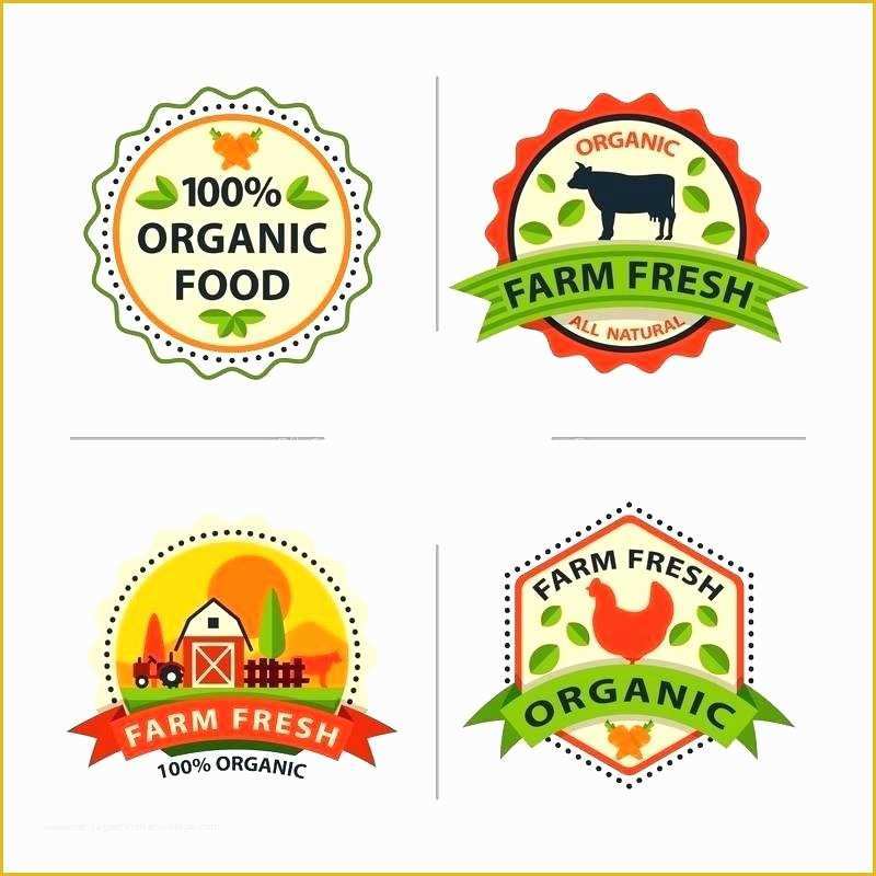 Food Label Design Template Free Of Food Label Template – Lytte