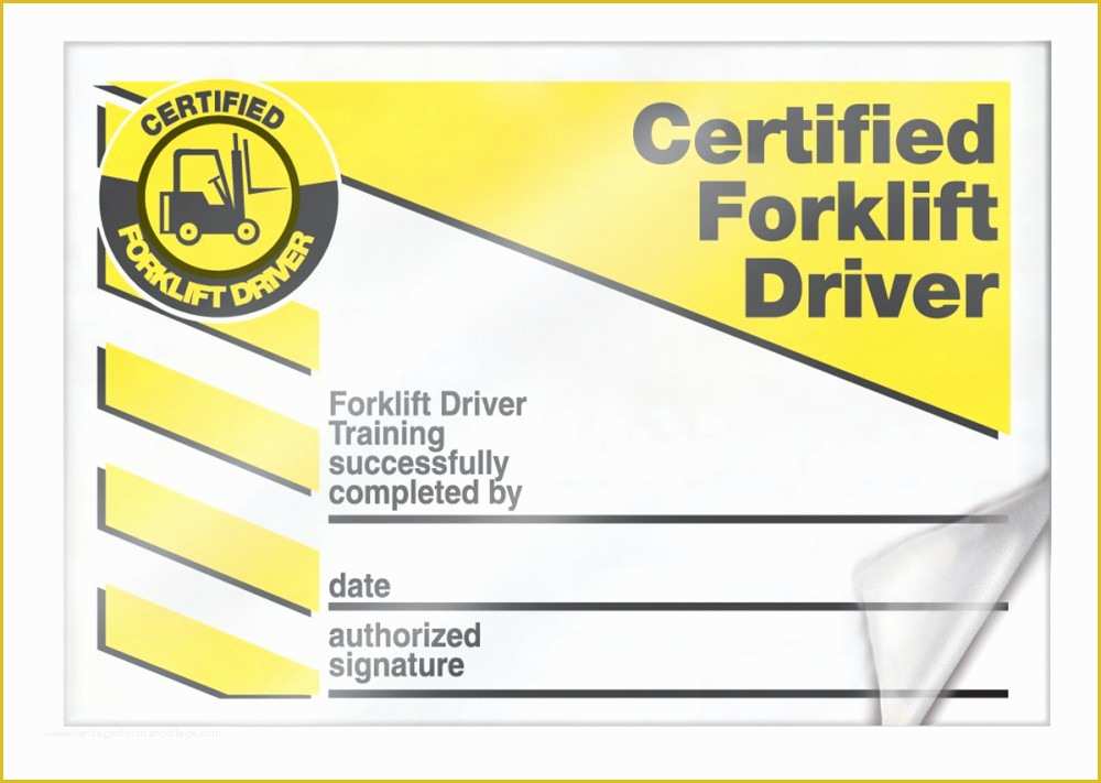 Forklift Certification Wallet Card Template Free Of forklift Certification Cards Lkc230