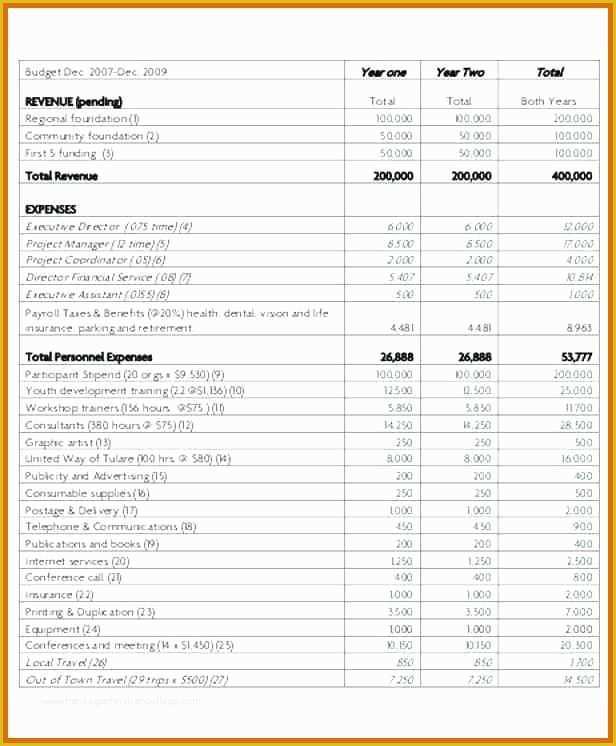 Free 501c3 Business Plan Template Of 11 12 Sample Non Profit Bud