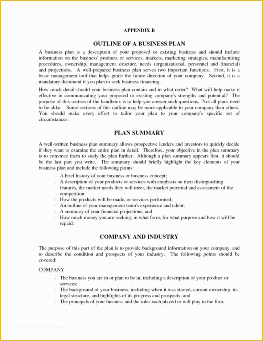 Free 501c3 Business Plan Template Of Free 501c3 Business Plan Template