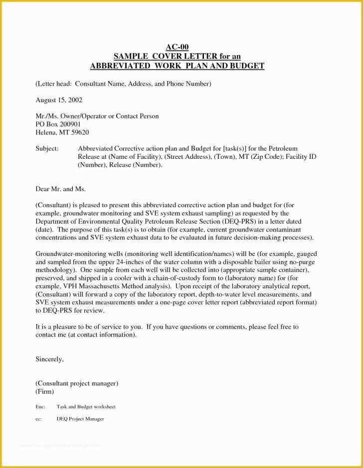 Free 501c3 Business Plan Template Of Free 501c3 Business Plan Template Schablonpenseln
