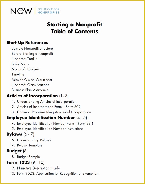 Free 501c3 Business Plan Template Of Starting A Nonprofit