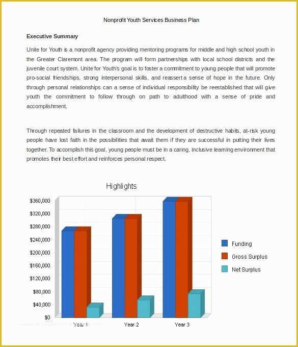 Free 501c3 Business Plan Template Of Unite for Youth Business Plan